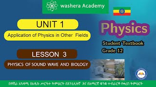 PHYSICS GRADE 12 UNIT 1 LESSON 3 PHYSICS OF SOUND WAVE AND BIOLOGY [upl. by Dnivra392]