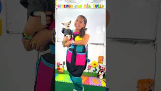 🌟 Sonido Onomatopéyico del perro 🐕💖 educativo infantil niños educacion [upl. by Shelah]