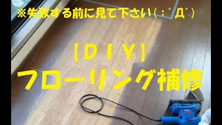 【ＤＩＹ】フローリング補修 ※失敗する前に見て下さい；ﾟДﾟ [upl. by Aniez615]