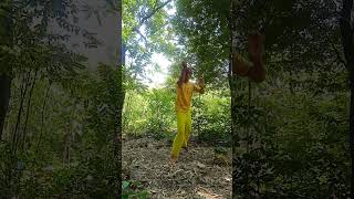 Nunchaku in nature nunchaku doublestick martialarts nunchakutraining nunchakutraining [upl. by Sears719]