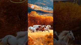 Surah An NoorNur explorefaith duet quranicconnection islamicscripture quranicharmony [upl. by Nicole152]