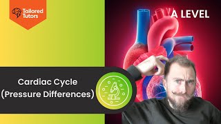 A Level Biology  Pressure Differences in the Heart [upl. by Dnalel]