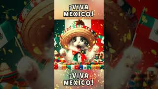 ¡Viva México Un maullido por la libertad cat gatos gatitos mexico vivamexico gatos catcute [upl. by Sutton]