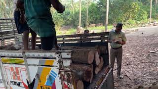 AMAZING WOOD UNLOADING SAW MILL🔥 WOOD PEELING SIZE TREE UNLOADING 👌 [upl. by Nidia726]