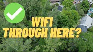 Sharing wifi through dense thick trees and bush  NO Line of SIght  NO internet bill [upl. by Accebber]