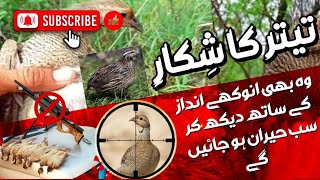 teetar ka shikar with airgun  teetar ka shikar  partridge hunting vlog [upl. by Ezri]