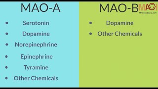 MAO Inhibitors MAOI  Overview and How They Work [upl. by Stillmann877]