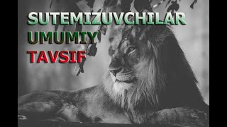 SUTEMIZUVCHILAR SINFINING UMUMIY TAVSIFI  СУТЭМИЗУВЧИЛAР СИНФИНИНГ УМУМИЙ ТAВСИФИ [upl. by Nedyarb237]