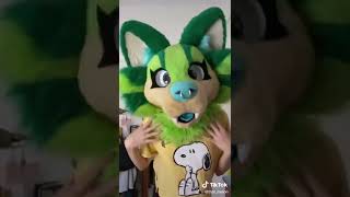 Furry cringe tiktok compilation 🤢 [upl. by Mccowyn364]