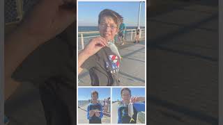 Fish I caught on the Okaloosa Island Pier [upl. by Yesoj]