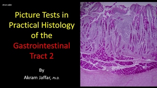 Picture tests in histology of the gastrointestinal system 2 [upl. by Natye]