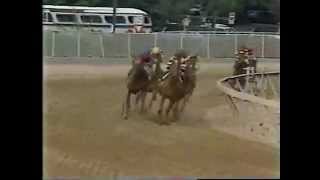 Affirmed vs Alydar  1978 Preakness Stakes [upl. by Dodie]