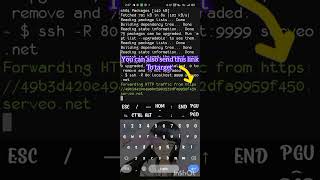 termux phishing tool zphisher in 2024 work100 [upl. by Atinoj]