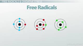 Inflammation Oxidative Stress amp Free Radical Damage to Health [upl. by Adnirod]