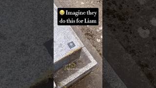 If they do this for Liam I’ll cry 😭 shorts liampayne liam onedirection 1d [upl. by Mcclelland]