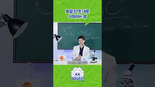 충혈 57초 내로 삭제하는 법 [upl. by Ecyaj]