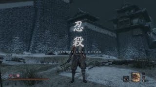 Sekiro Demon of Hatred [upl. by Devin]