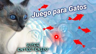 JUEGOS PARA GATOS  Atrapar peces y laser de gatitos en pantalla VIDEOS MICHI TV  Entretenimiento [upl. by Ezalb]