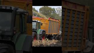 Corn silage chopping in dirt [upl. by Ahkihs939]