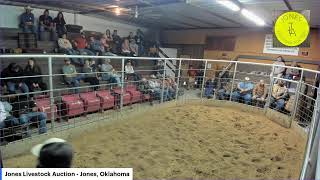 Jones Livestock Auction  Jones OK [upl. by Adnilav817]