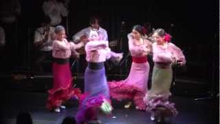 Flamenco DocumentaryYuka Imaeda 2012Full Ver （今枝友加 「iREMA」完全版） [upl. by Argus]