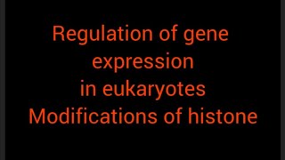 regulation of gene expression in eukaryotes [upl. by Theran]