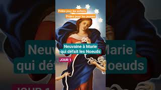 🙏Neuvaine à Marie qui Défait les Noeuds Jour 1  Débloquer Enfants et Familles [upl. by Sukin]