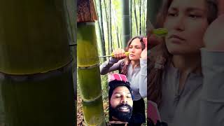 nature bamboo bushcraft satisfying wood survival lifehack camping outdoors funny [upl. by Perce]