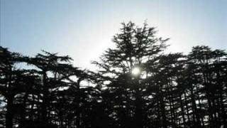 The Cedars Of God [upl. by Lorita]