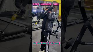 Rope hammer curls the long head of the bicep shorts [upl. by Aihsemek477]