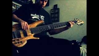 Gojira  Remembrance Bass cover [upl. by Santiago]