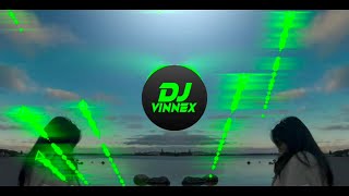 DJ BROTHER LOUIE  PA SLOW REMIX  DJ VINNEX amp DJ SOYMIX  TIKTOK VIRAL DANCE [upl. by Katrina]