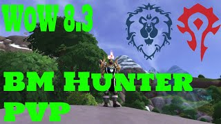 a WoW hunter playlist  WoW 83  Beast Mastery Hunter PvP [upl. by Einot339]