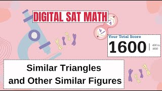 15003005 Similar Triangles and Similar Figures  Sample Question [upl. by Gnaht895]