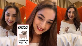 Shehnaaz Gill Finally Reacted On Tuada Kutta Tommy Song On Instagram Live [upl. by Ttezil]