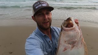 How to Catch Halibut in The Surf Catch and Cook  Ventura California [upl. by Markman]