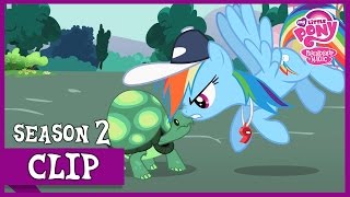 Rainbow Dash Challenges Tank May the Best Pet Win  MLP FiM HD [upl. by Alessandro366]