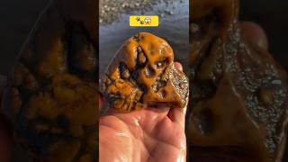 Claw stone found 🐾😱viralshort gemston gemstone viralvideo shorts [upl. by Canfield]