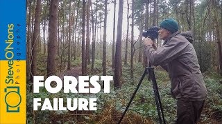 Landscape Film Photography  A Bad Day in the Forest [upl. by Halbeib]