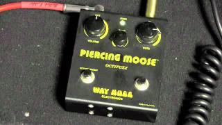 Original 1990s Way Huge Piercing Moose Octave Fuzz Demo [upl. by Audrie]