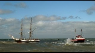 Morgenster en trip junior tijdens een bries naar zee 572016 [upl. by Hanford693]