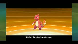 charmeleon evolves into charizard in megamon league [upl. by Nelg252]