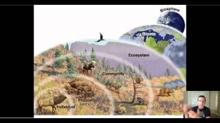 Ecological Levels of Organization [upl. by Yuzik]