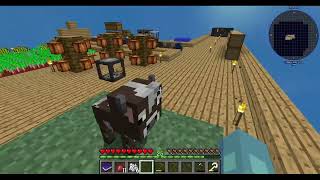 Skyfactory 4 Episode 3  A New Server [upl. by Ilime]