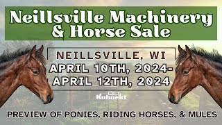 Ponies Riding Horse Preview  2024 Spring Machinery amp Horse Sale [upl. by Bradleigh]