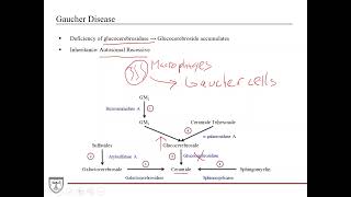 Lysosomal Storage Diseases and Mucopolysaccharidosis Clinical Biochemistry 1 of [upl. by Haon]