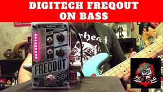 Dont FreQout Its just the DigiTech FreQout on bass [upl. by Sacttler]