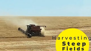 Hillside Combines Cutting Wheat  Grain Hogs S02EP25 [upl. by Annetta]