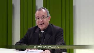 Como se peca contra o sétimo mandamento  Igreja Militante  05112018 [upl. by Ytteb]