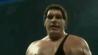 Andre the Giant vs Giant Gonzalez [upl. by Yraeht859]